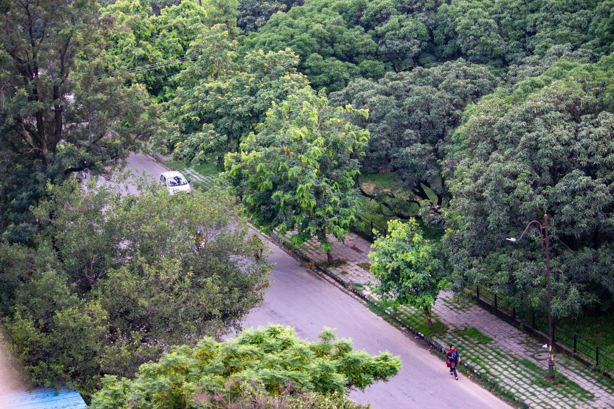 Mango Grove Hotel Chandigarh Exterior photo